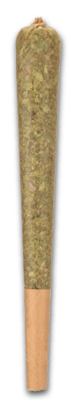 Photo of a pre-rolled joint